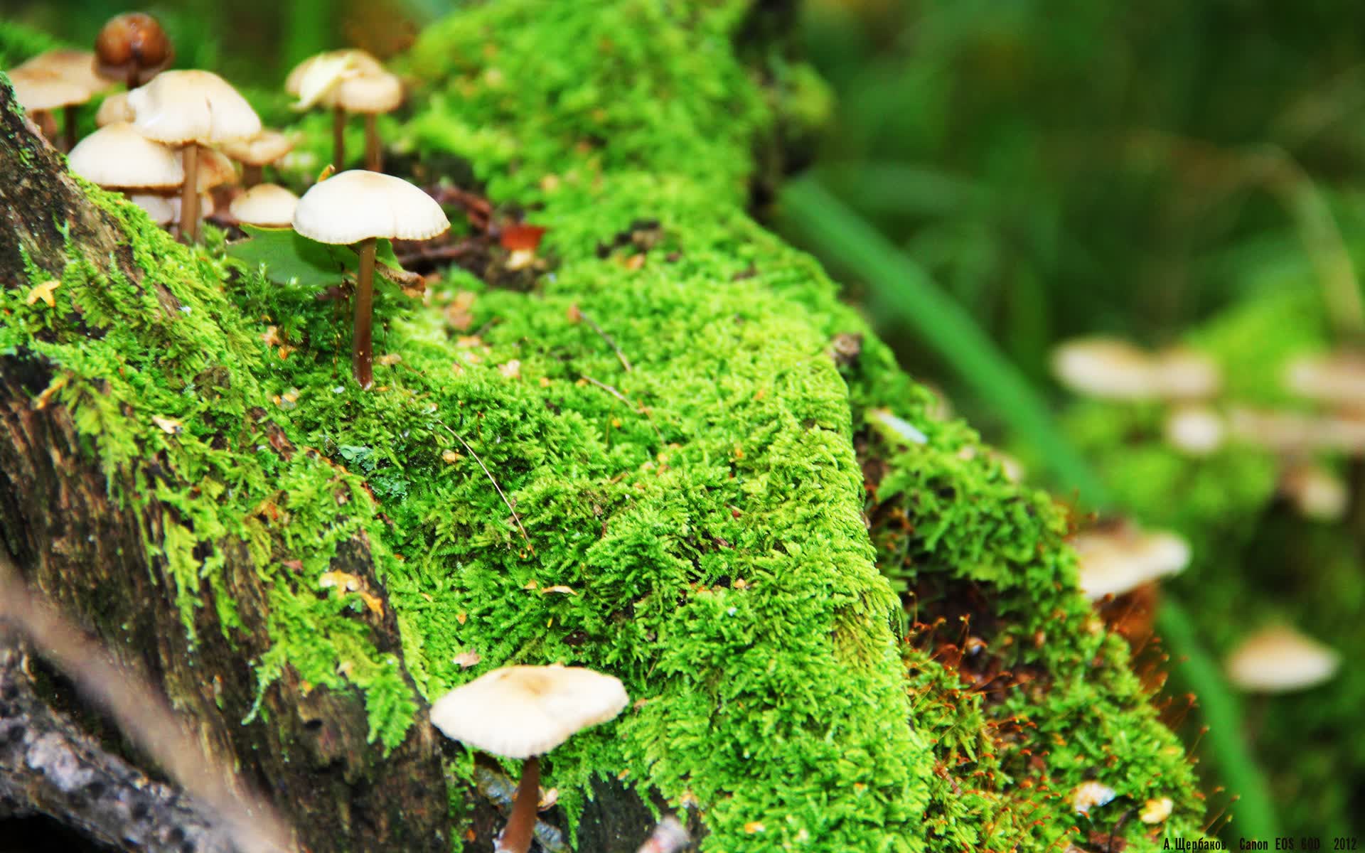 世界游艇青年赛航海知识讲座吸睛，游艇协会